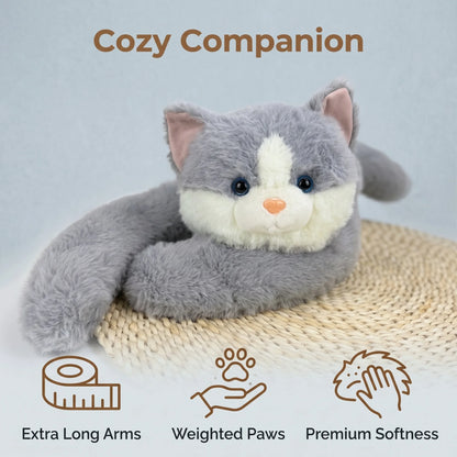 PET Long Arm Stuffed Animal Arm Weighted Soft Plush Pillow Raccoon Koala Bear Sloth  Dinosaur Gift for Boys and Girls