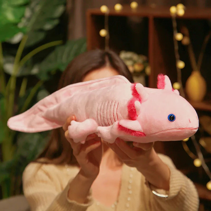 Plush Axolotl – The Colourful Axolotl Everyone Wants to Cuddle